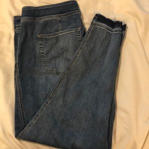 Lane Bryant Denim